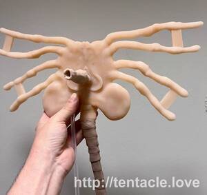 Facehugger Alien Xenomorph Porn - Mistress Facehugger: The Xenomorph Hiphugger FAQ - Franklin Veaux's  JournalFranklin Veaux's Journal