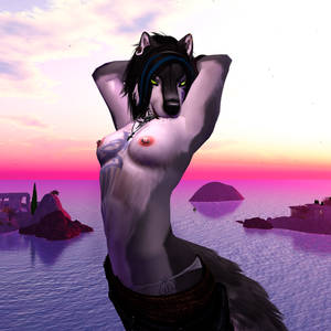 Herm Furry Animal Porn - Jacki_025