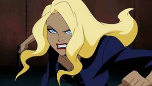 Black Canary Justice League Porn - Who is Black Canary? A Primer on DC's First Bird of Prey | Batman News