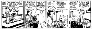 Calvin And Hobbes Mom - David M Willis! on X: \