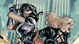 Black Canary And Huntress Lesbian Porn - DC's BIRDS OF PREY Casting Frontrunners Include Mary Elizabeth Winstead,  Gugu Mbatha-Raw, and More â€” GeekTyrant