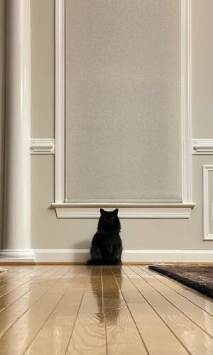 Ann Curry Hairy Pussy - weekend open thread - January 15-16, 2022 â€” Ask a Manager