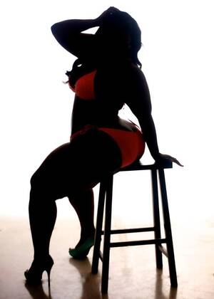 chubby sex silhouette - BBW Sex Stories - I Love the Taste of a Beautiful BBW!