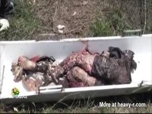 Dead Girl Pussy Porn - Body Found in Shallow Grave