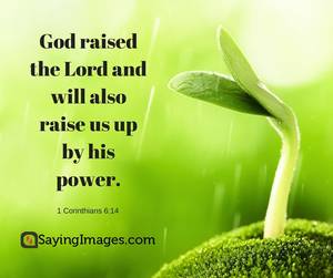 Bible Verses Porn - Also Read: Inspirational Christian Quotes â€“ Bible Quotes about Life, ...