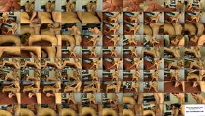 100 Sex Positions Gay - Best sex positions for him gay porn tutorial Conner Bradley turns up -  XVIDEOS.COM