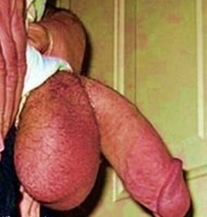 my cock galleries - MrThickCockMan's sex videos & porn photo galleries.