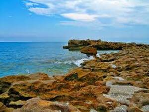 beach voyeurs in france - Best Beach 2004 | Blowing Rocks Preserve | Sports & Recreation | South  Florida