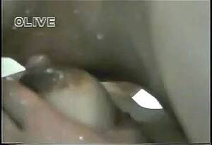 lactating amateur wife - Watch Sucking wife's lactating boobs - Suck, Lactation, Amateur Porn -  SpankBang