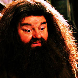 Hagrid Harry Potter Gay Porn - Harry Potter fond d'Ã©cran titled Rubeus Hagrid