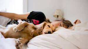 hot indian sleeping sex - Sleeping with Dogs: Benefits for Your Health, Risks, and Precautions