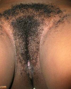 black caribbean pussy - Hairy Caribbean black chicks Porn Pictures, XXX Photos, Sex Images #3117275  - PICTOA