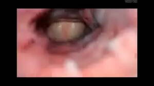 creampie internal cumshot - Internal cumshot Creampie - XNXX.COM