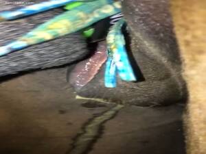 Mare Pussy Masturbator - Horse gets her pussy masturbated in horse porn - LuxureTV