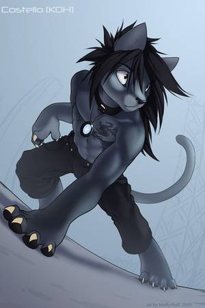 Anthro Male Furry - 74 best Furry - â™¥ Male â™¥ images on Pinterest | Furry art, Anime furry and  Furry wolf