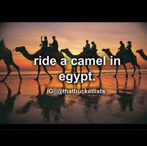 Egyptian Porn Star Riding Camel - Travel to Egypt and Ride a Camel!