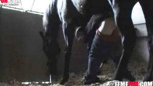 hrses xxx anal videos - [ Anal Sex With Horse XXX ] Housewife challenges herself to take a horse  cock anally in this beast sex flick