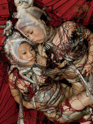 japanese octopus porn - â€œWhether ...