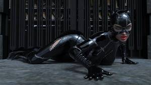 Catwoman Cartoon Anal Porn - Catwoman Encounter â€“ Bigotedeplorable - Porn Cartoon Comics