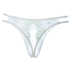 fancy panties - Women Sexy Hot Panties Crotchless Transparent Panties Open Thong Lingerie  Porn Intimates Lace Fancy Girls Underwear Seamless Sex-in Panties from  Novelty ...