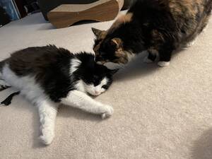 Emma Watson Pov Porn - weekend open thread - April 15-16, 2023 â€” Ask a Manager