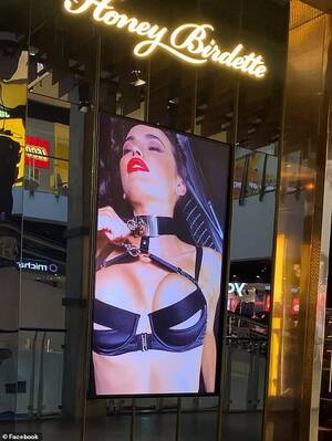 Lingerie Clips - Sydney parents beg Honey Birdette to replace 'soft porn' ads running  outside city department stores | Daily Mail Online