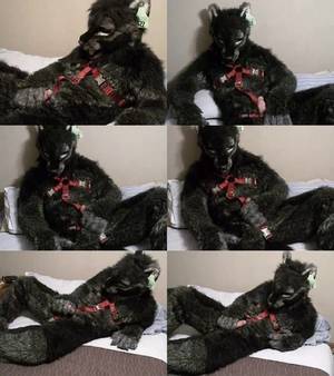 Gay Furry Porn Squirrel - 