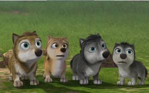 Fleet Alpha And Omega Porn - The pups - alpha-and-omega Photo