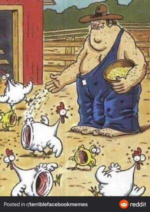 Chicken Toon Porn - Thanks, I hate â€œstretched outâ€ chickens : r/thanksihateit