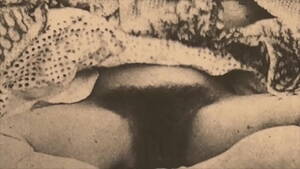 1850s Porn - Vintage Pornography Challenge '1850s vs 1950s' - XVIDEOS.COM