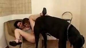 Extreme Hardcore Porn Bestiality - Hardcore dog porn for two extreme lesbians