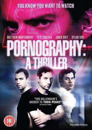 Gay Mystery Porn - Pornography: A Thriller (2009) one of the best horror and mystery gay films  ever! : r/MenLovingMenMedia