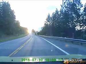 Deer Vagina Porn - Deer Goes Airborne