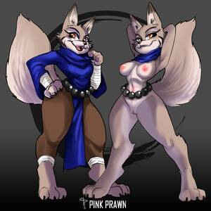 Kung Fu Panda Furry Porn - Zhen (pink prawn) [Kung fu panda 4] : r/furryporn