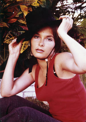 70s Porn Stars Raven Nude - Tina Russell: The First 'Porno Star' <br />Scrapbook ...