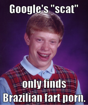 Brazilian Girls Porn Memes - Bad Luck Brian | Brazilian Fart Porn | Know Your Meme