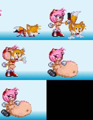 Amy Rose Pregnant Porn - swfchan: amy rosebelly breasts caninefox half done miles prower no sound  nude overweight sally acorn sega sonic (series) sprite unknown artist  vorarephilia ...
