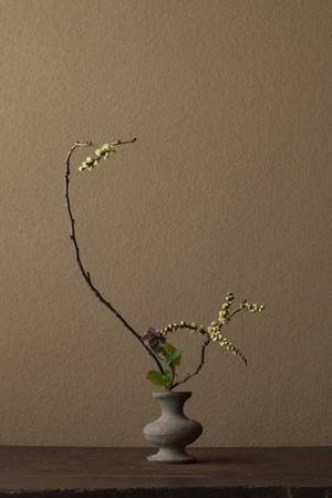 japanese nude ikebana - Ikebana by Toshiro Kawase, Japan