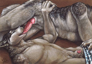 Anatomically Correct Deer Pussy - #854640: malaika4 - e621