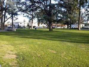 black british porn stars melvina rague - Festivities always occurred here and included things like carnivals, and  music performances. The park was where I made another connection with my  community, ...