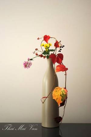 japanese nude ikebana - ikebana by Thai Thomas Mai Van