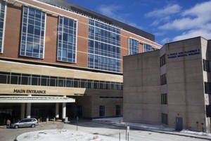 Hermon Maine Porn 2015 - Game warden assists coyote trapped in alcove of Bangor hospital