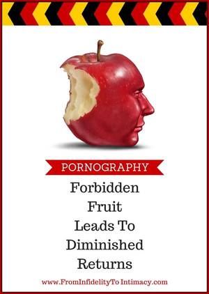 Bible Porn Quotation - It comes as no surprise to see science confirm that watching Internet  pornography shrivels the brain