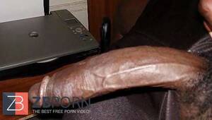 king size big black cocks - Thick Monster Bull King Kong BIG BLACK COCK Chisel! - ZB Porn