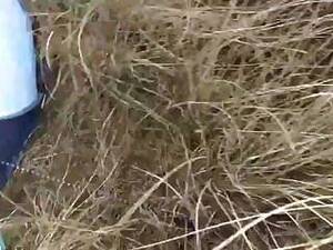 Mature Bisexual Beach - Mature Bisexual Beach Videos Free Porn Movies - Watch Exclusive and Hottest Mature  Bisexual Beach Videos Porn at wonporn.com