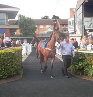 Anna Kendrick Porn Caption Image Fap - Photo :: Nicely Indeed enters paddock