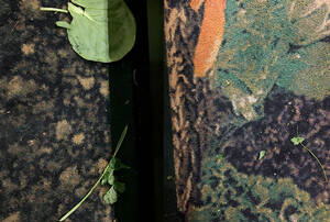 Amateur Porn Christa 1991 Polaroid - Amateur Porn Christa 1991 Polaroid | Sex Pictures Pass