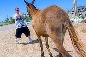 Brazilian Donkey Porn - Donkeys & Brazilian Chicks - Bangbros, watch free porn video, HD XXX at  tPorn.xxx