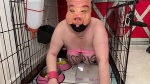 Humiliation Degradation Porn - Fuckpig porn justafilthycunt humiliating degradation pig pissing caged piss  drinking and eating from bowls - XVIDEOS.COM