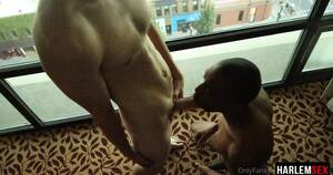 Gay Porn Swallow - It's so good to swallow cock gay porn video on Harlemsex